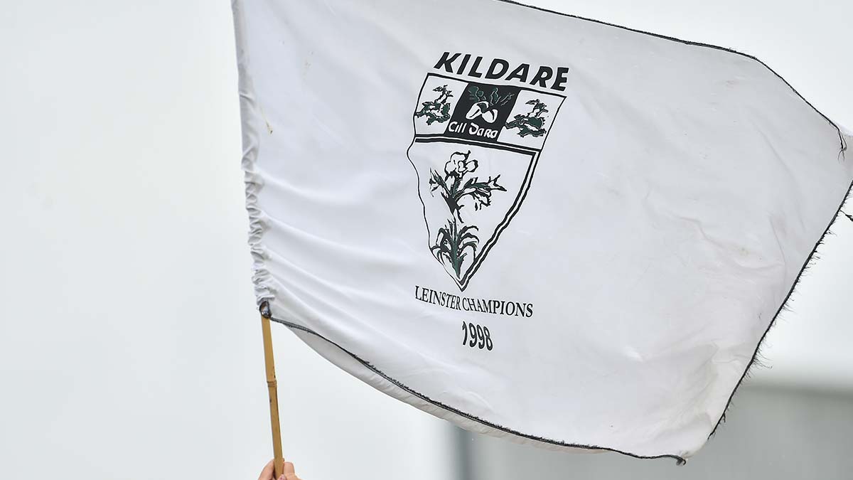 Kildare Minor and Senior Hurling Teams Named